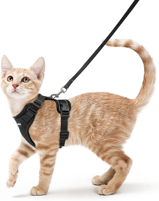 Cat Vest + Leash